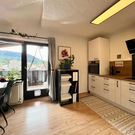 Adlerblick Apartment *